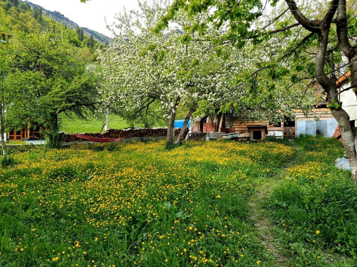 Girgola Bed and Breakfast Mestia Buitenkant foto