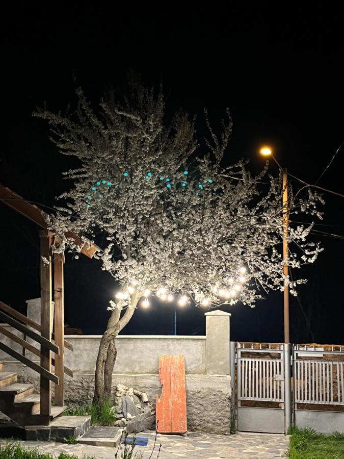 Girgola Bed and Breakfast Mestia Buitenkant foto